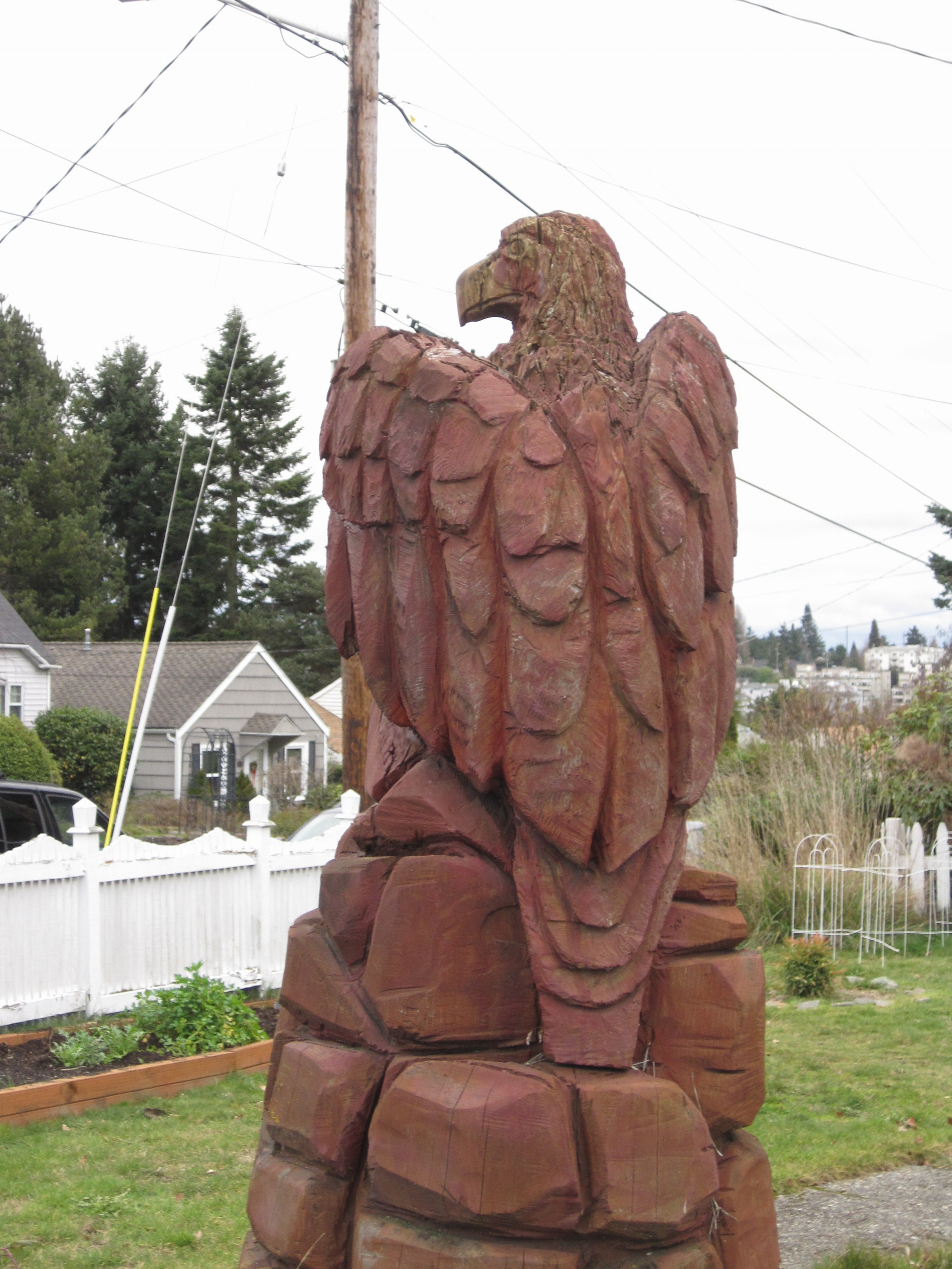 Neighborhood Eagle