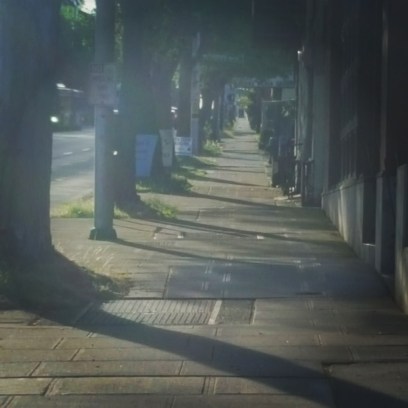 Morning Light, Greenwood